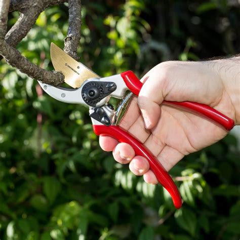 The 3 Best Garden Pruners of 2024 